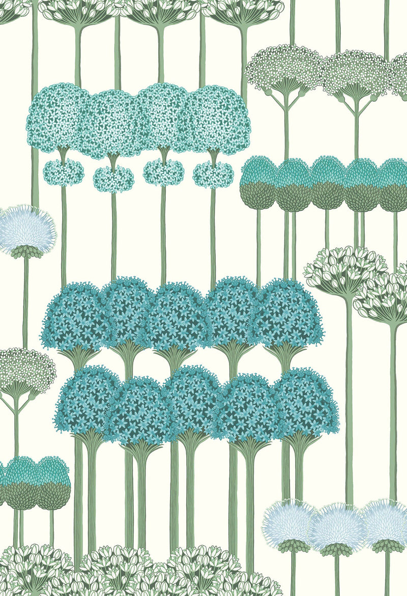 Allium