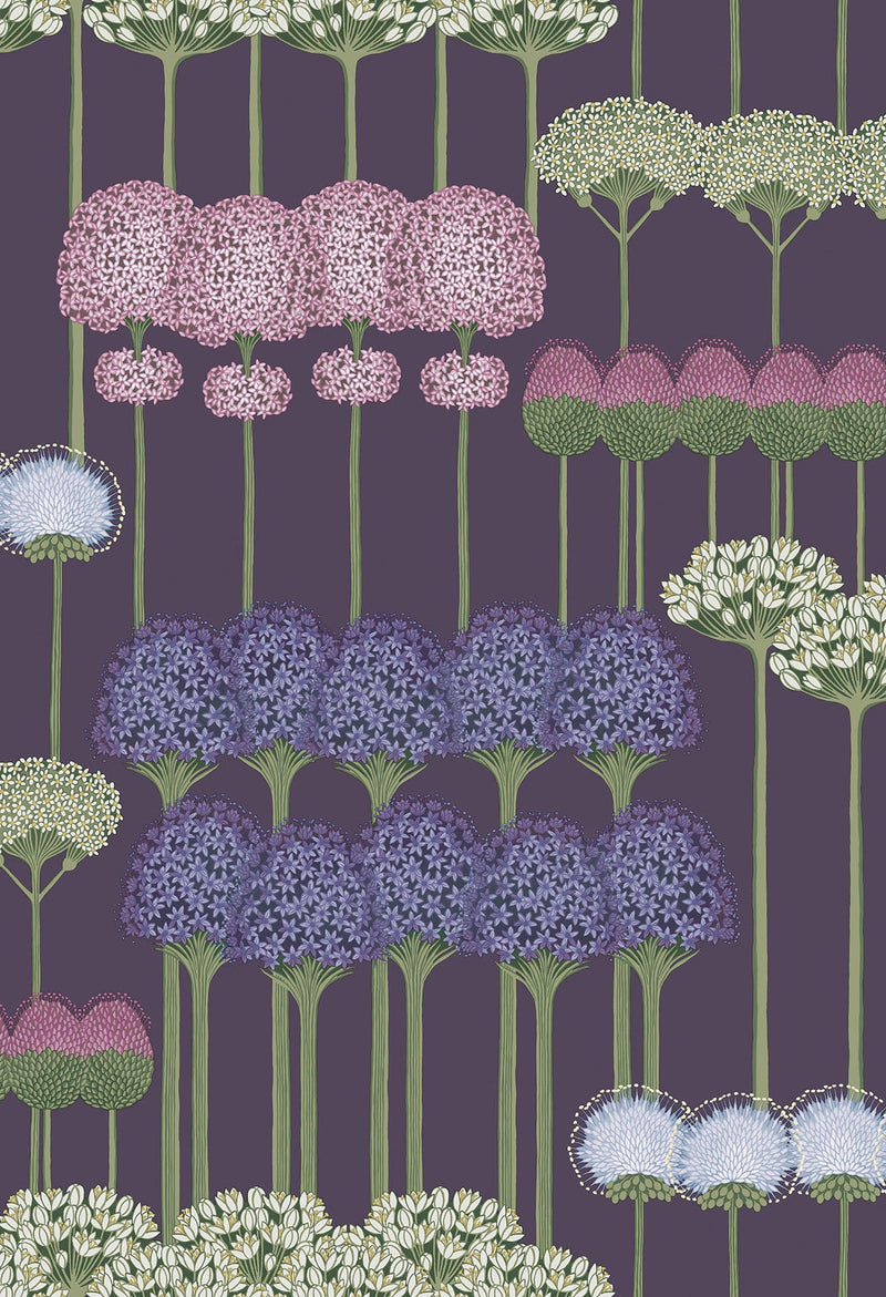 Allium