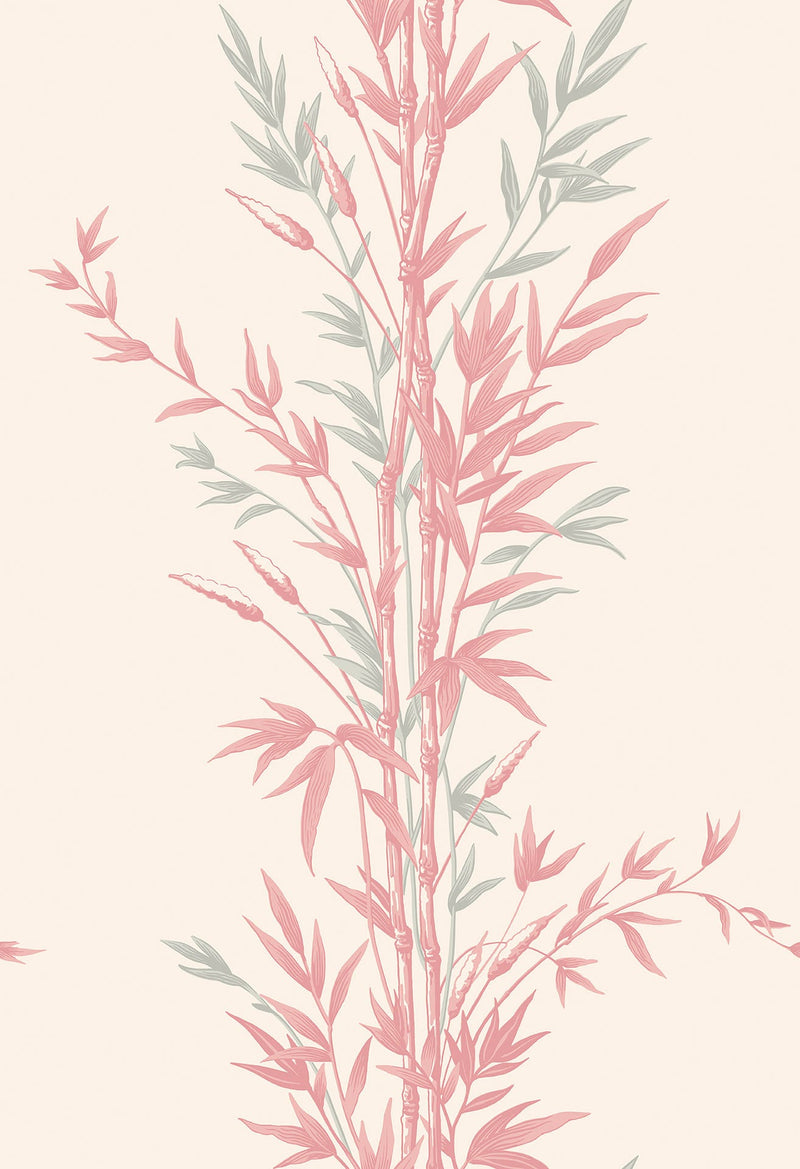Bamboo