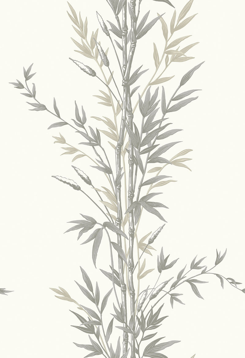Bamboo