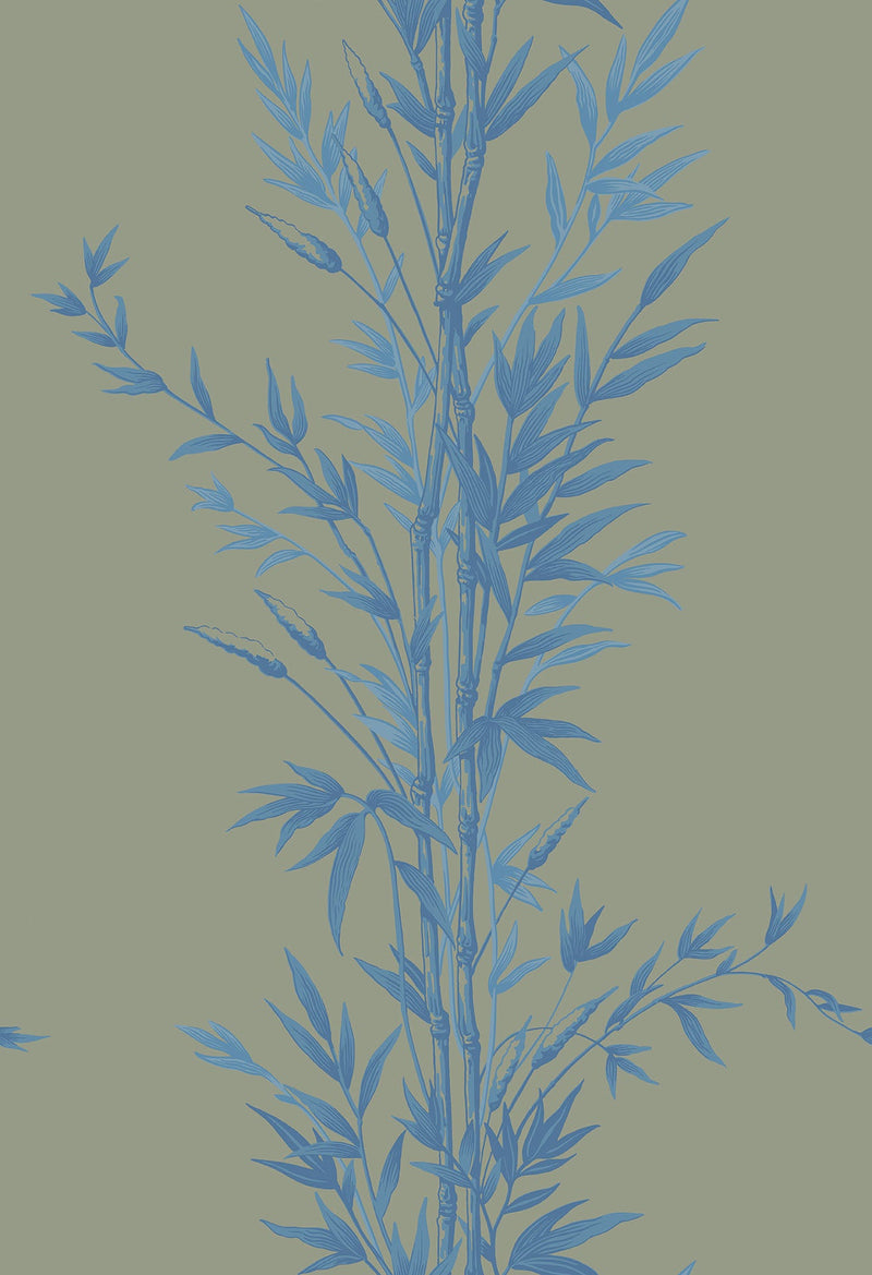 Bamboo