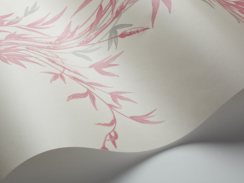 Bamboo