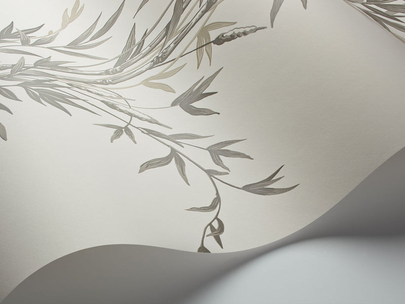 Bamboo