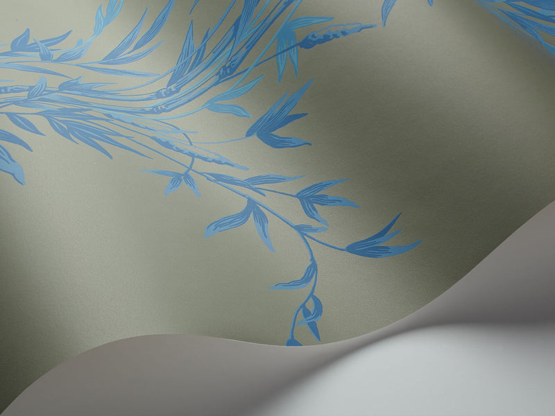 Bamboo