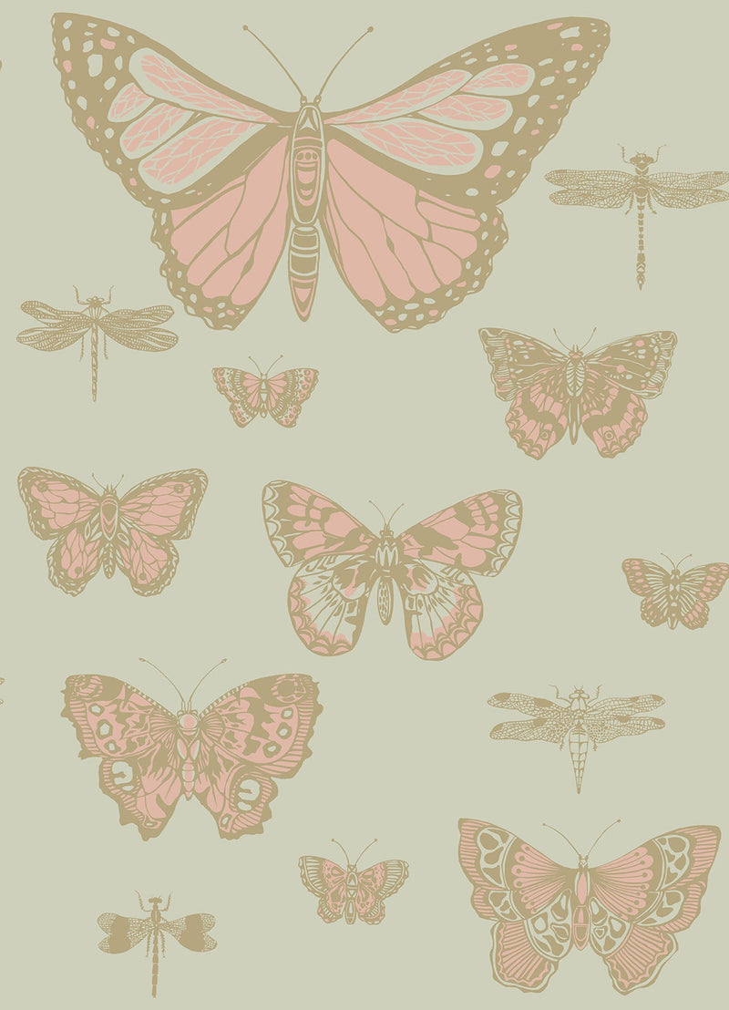 Butterflies & Dragonflies