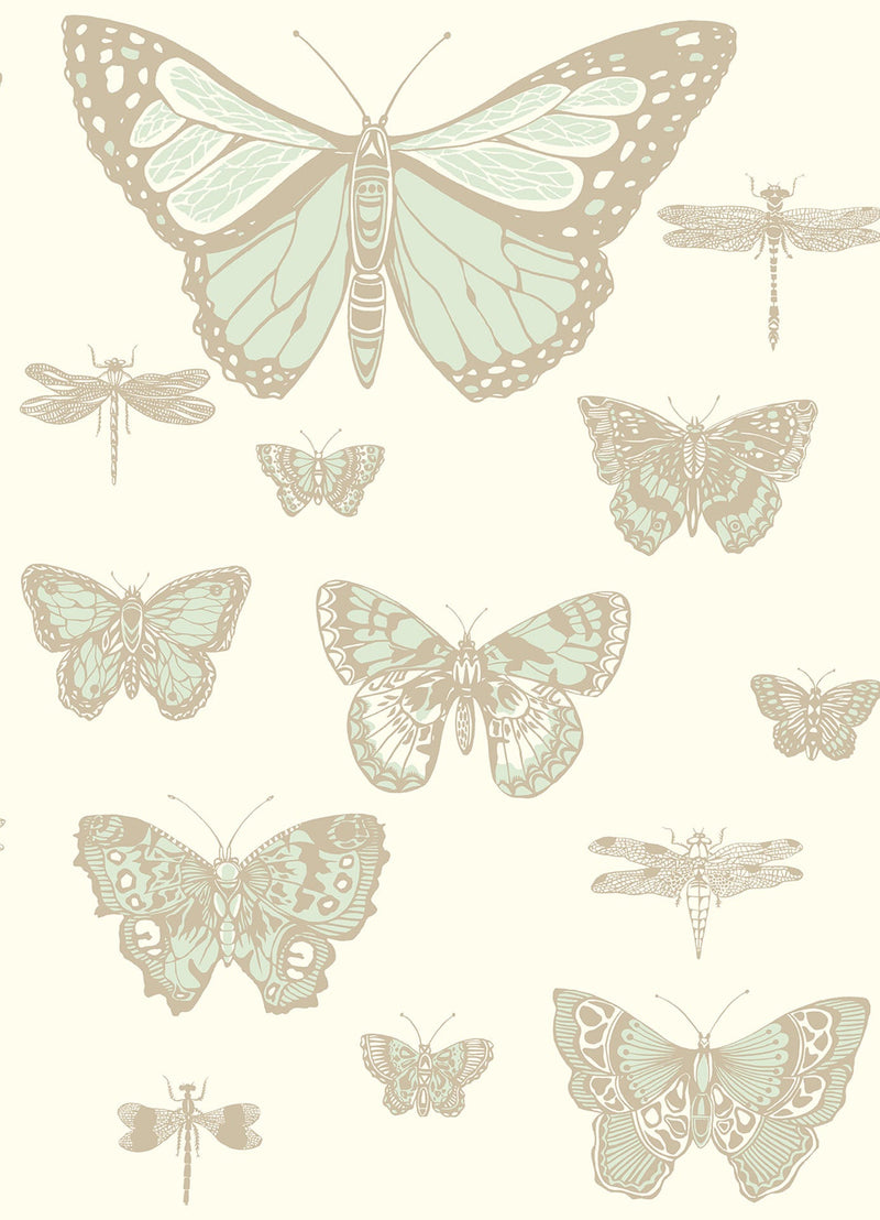 Butterflies & Dragonflies
