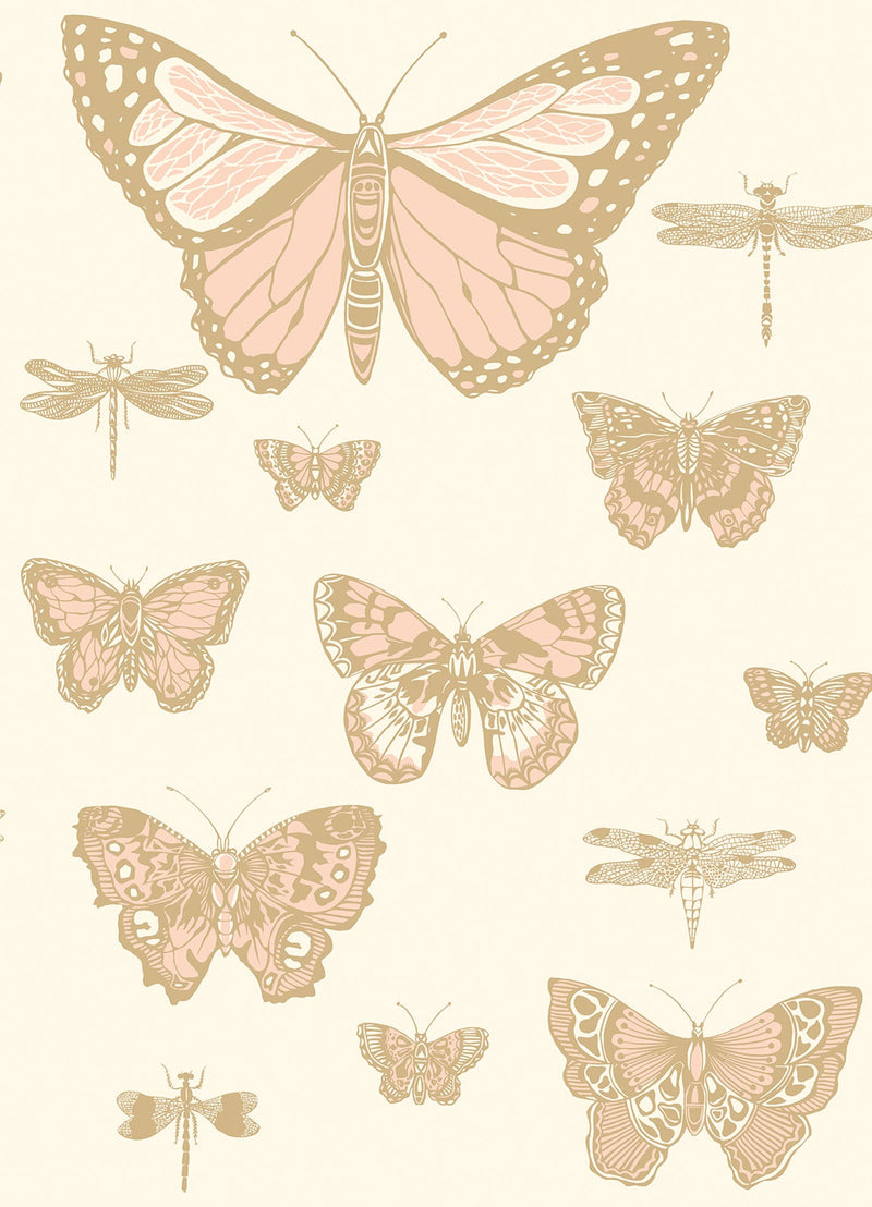 Butterflies & Dragonflies