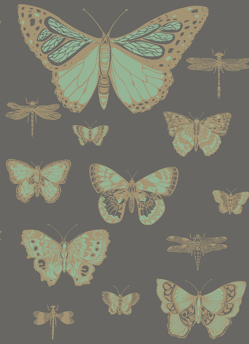 Butterflies & Dragonflies