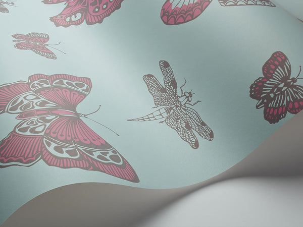 Butterflies & Dragonflies
