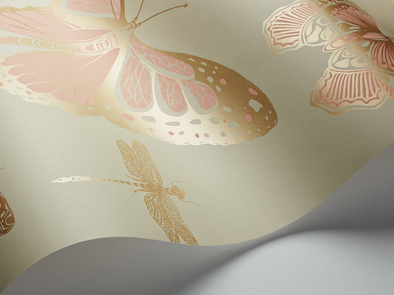 Butterflies & Dragonflies