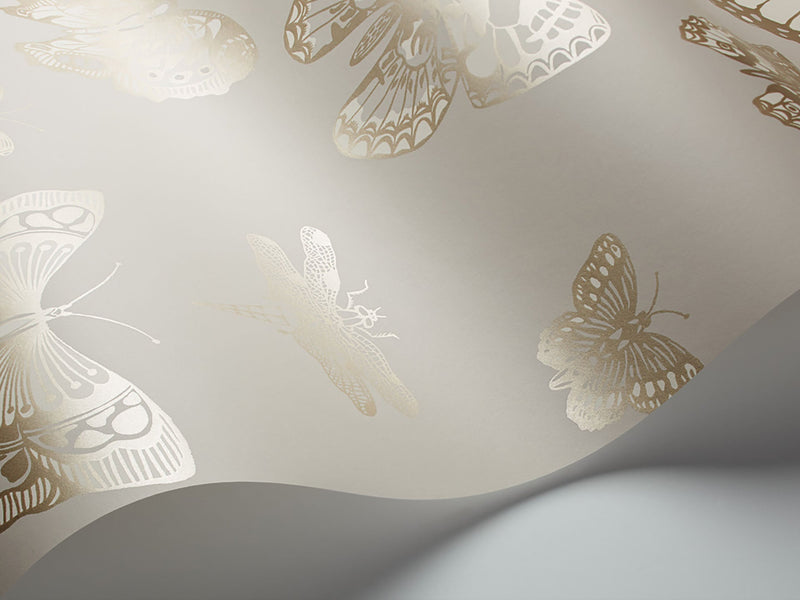 Butterflies & Dragonflies