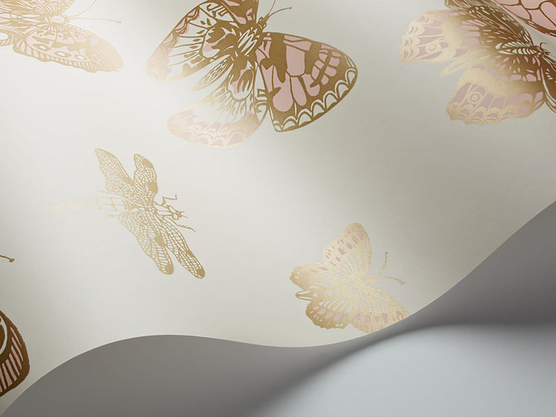 Butterflies & Dragonflies