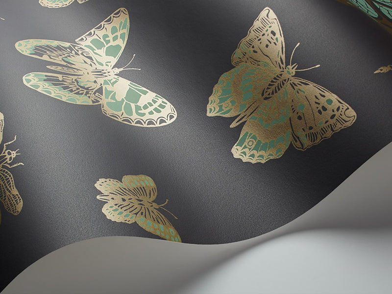 Butterflies & Dragonflies