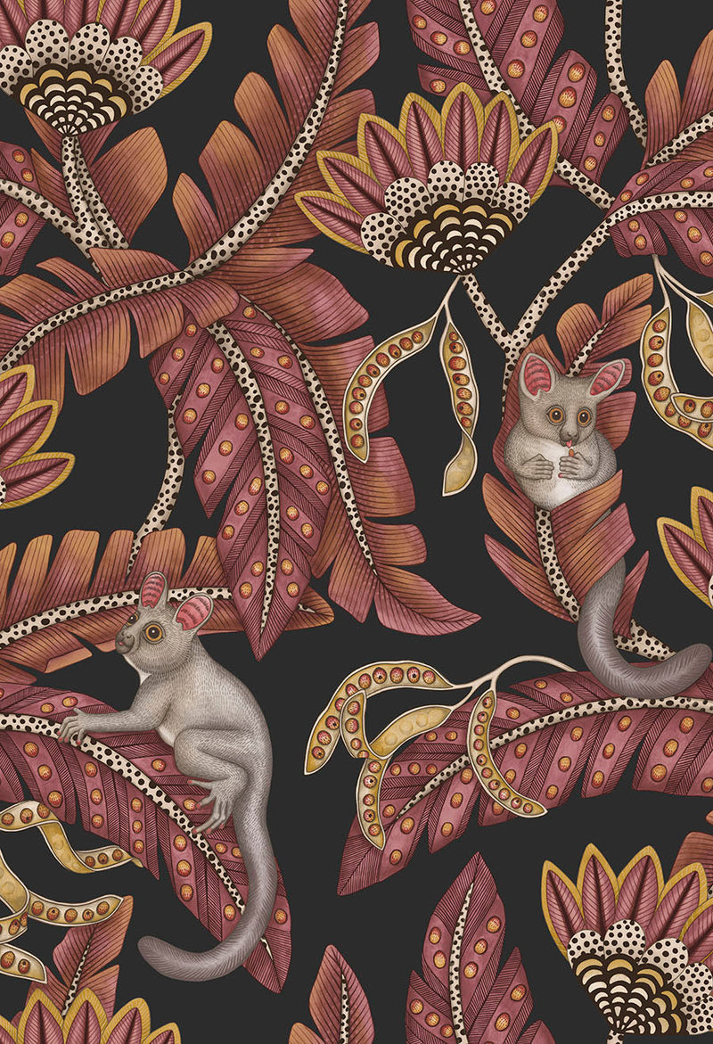 Bush Baby