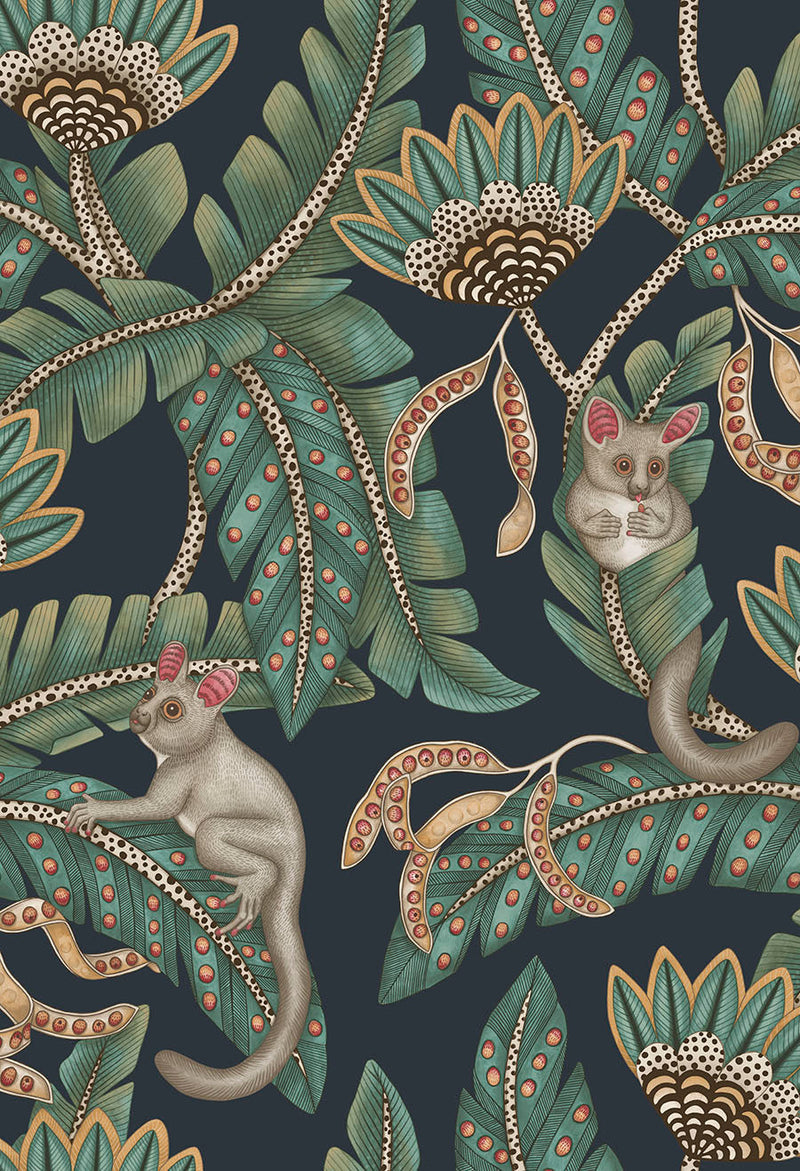 Bush Baby