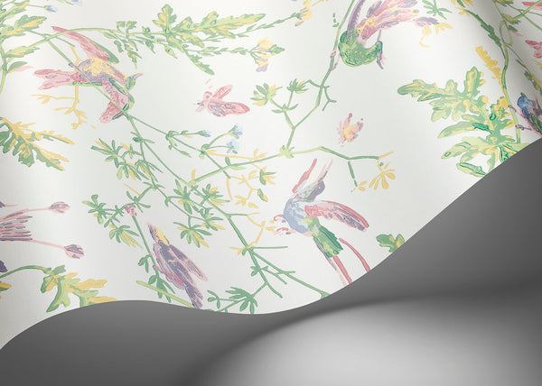 Hummingbirds
