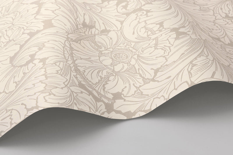 Acanthus