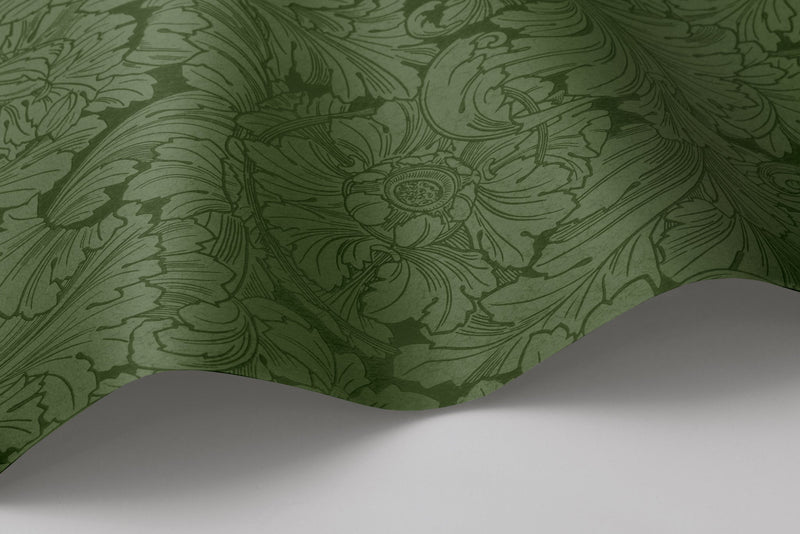 Acanthus