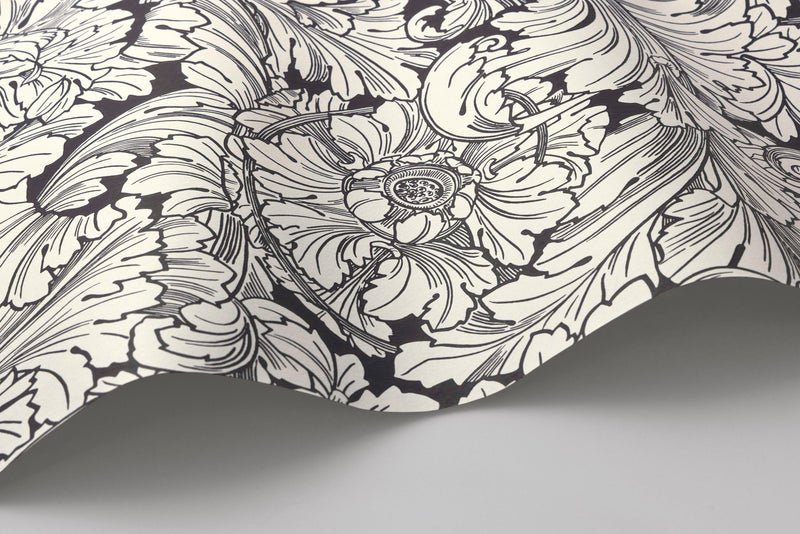 Acanthus