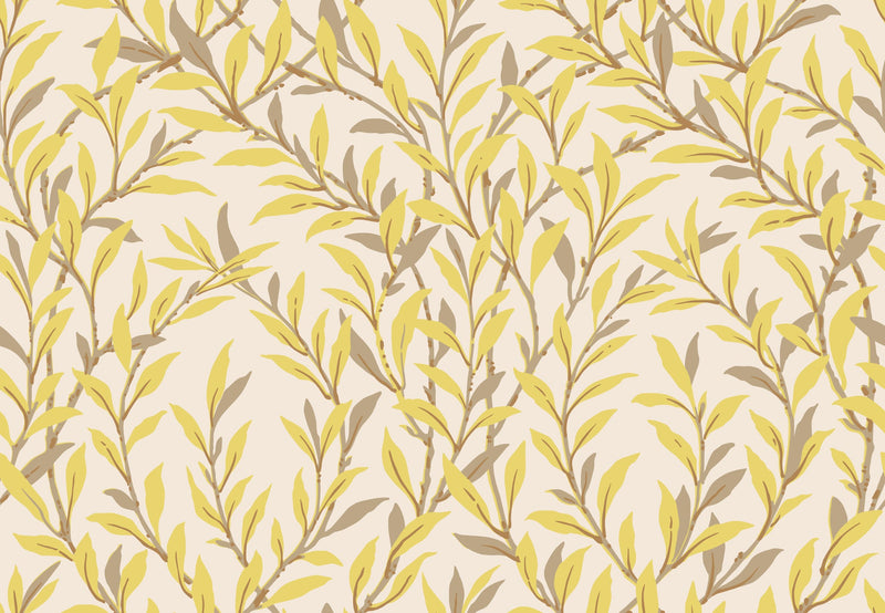 Willow Branch