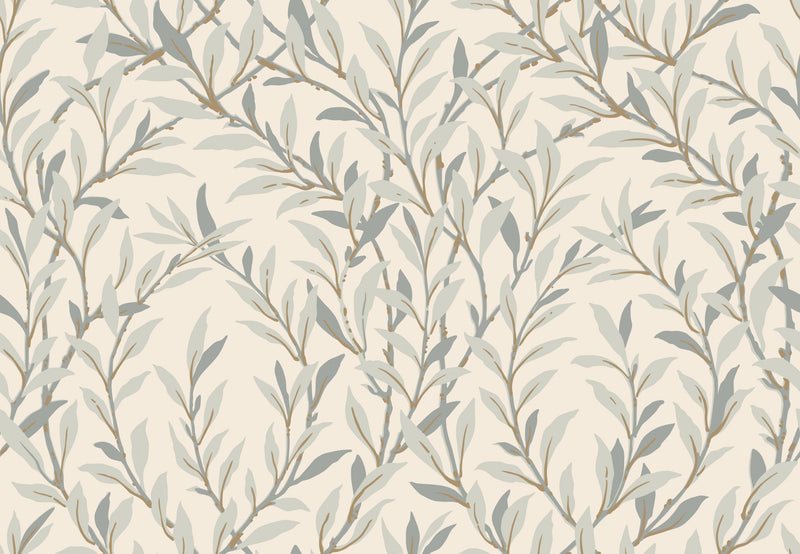 Willow Branch