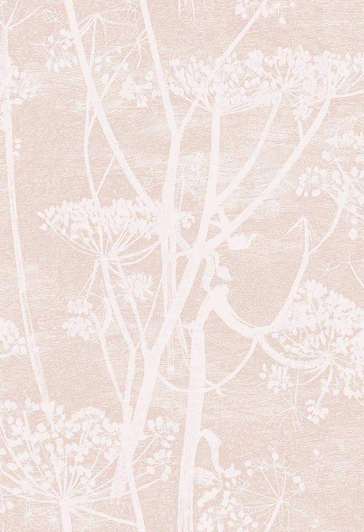 Cow Parsley Icons