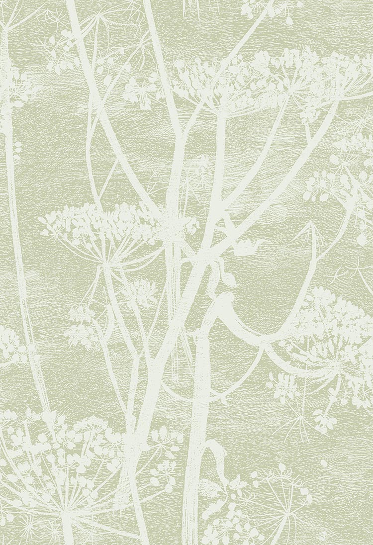 Cow Parsley Icons