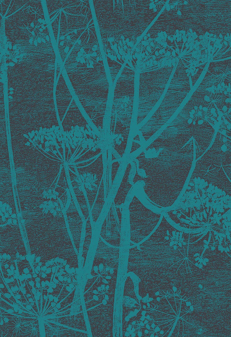Cow Parsley Icons
