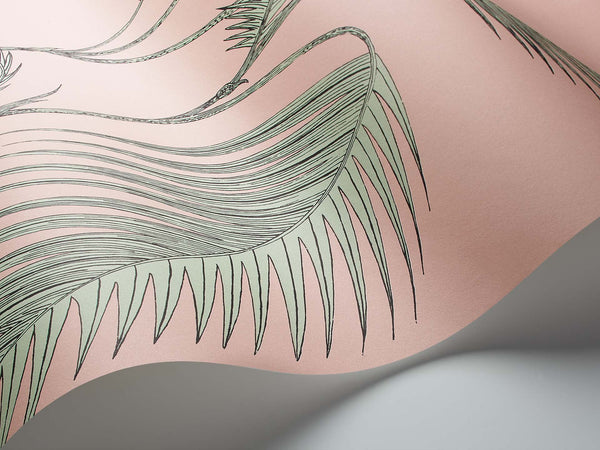 Palm Leaves Icons