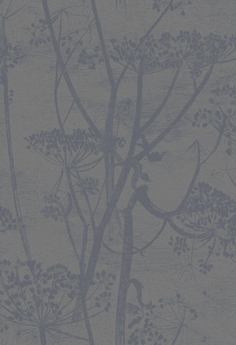 Cow Parsley
