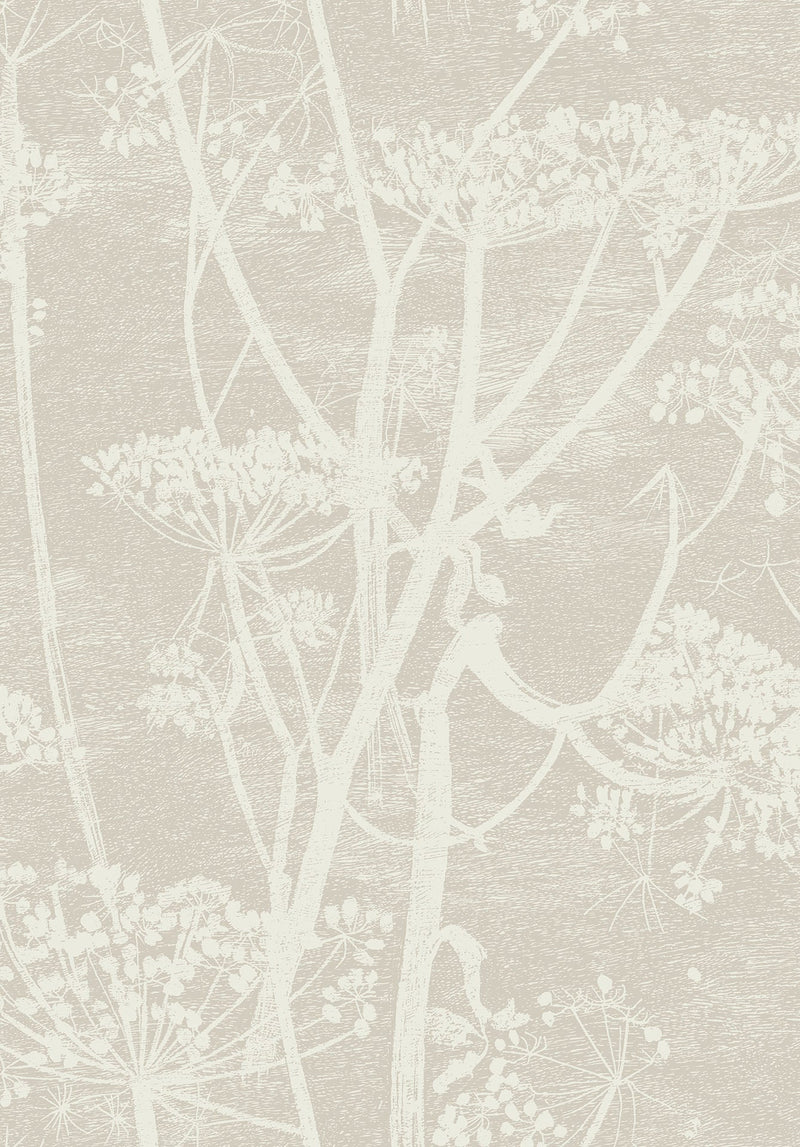 Cow Parsley