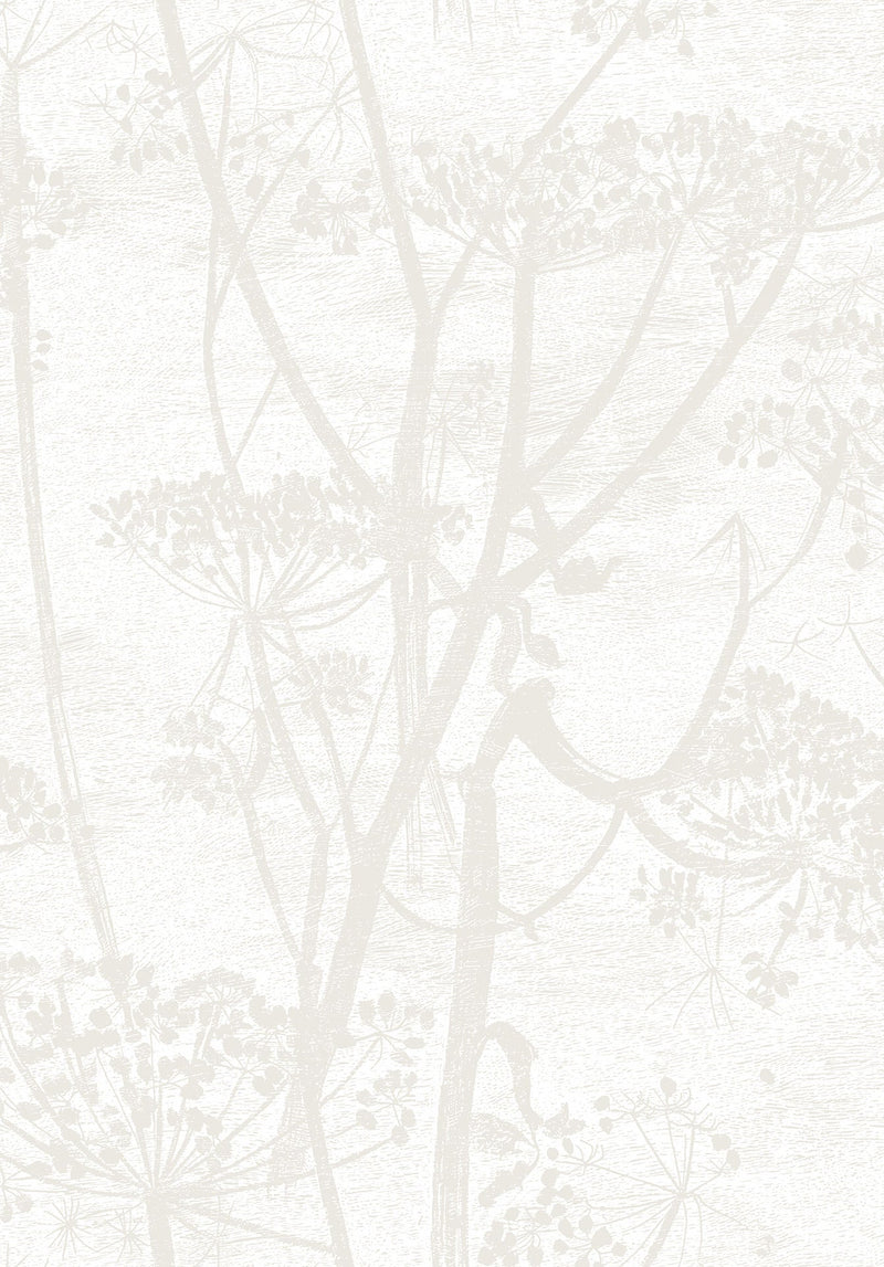 Cow Parsley