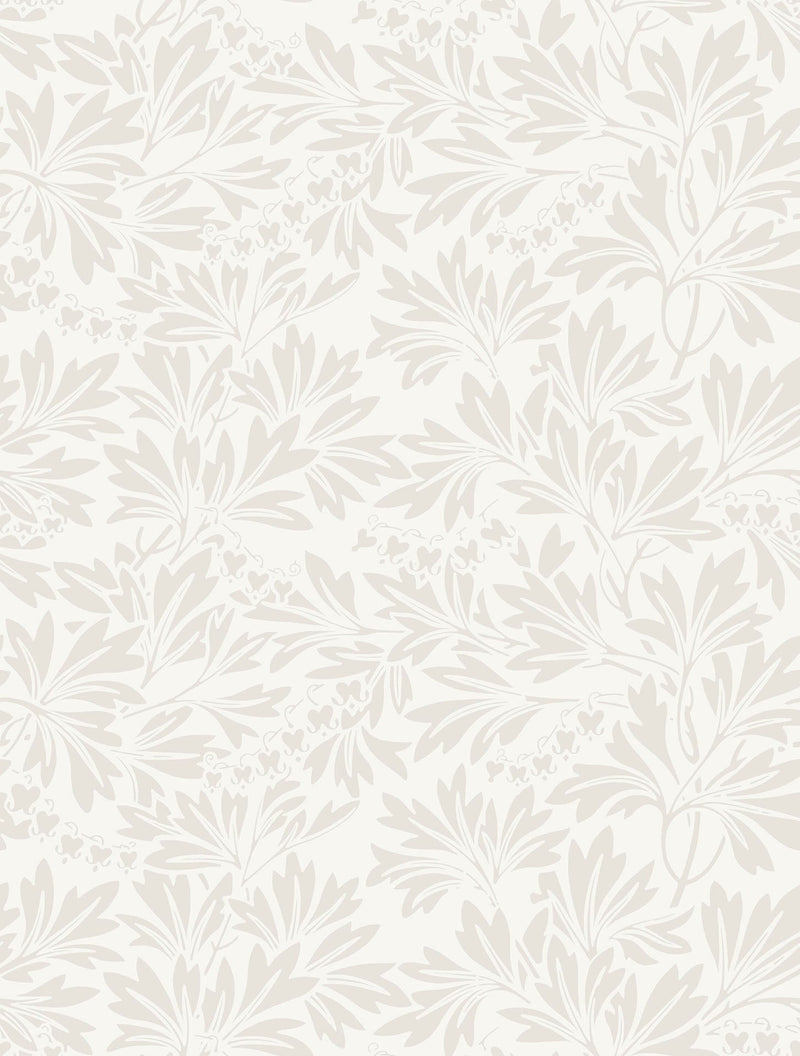 Dialytra