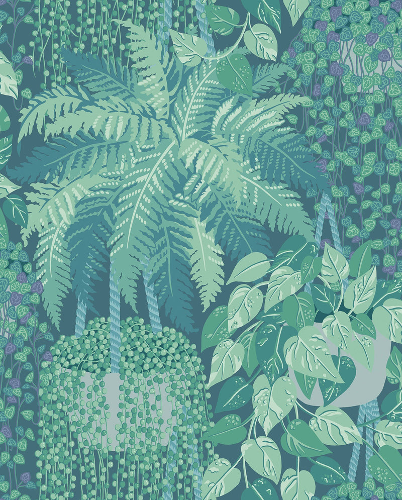 Fern