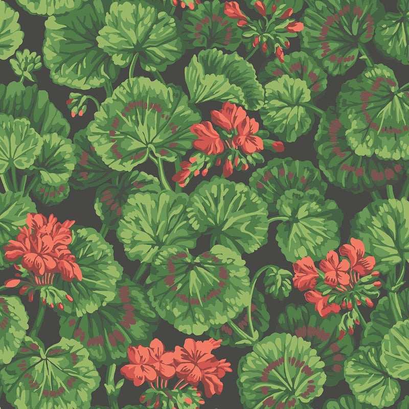 Geranium