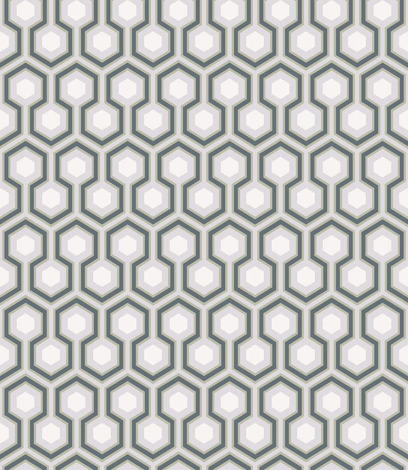 Hicks' Hexagon