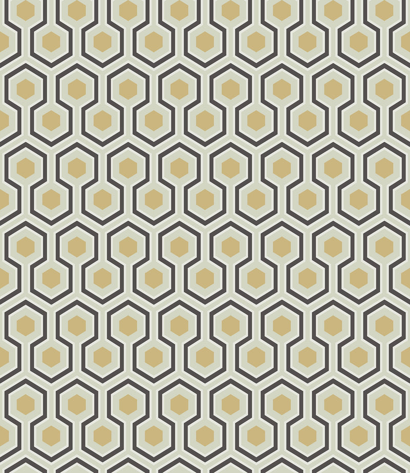 Hicks' Hexagon