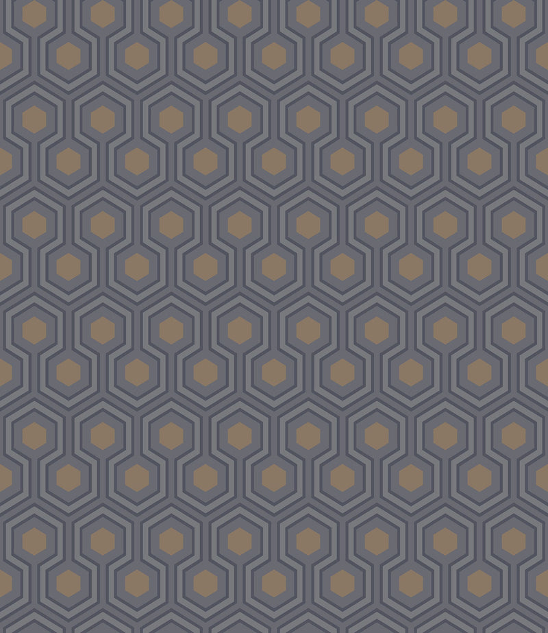 Hicks' Hexagon