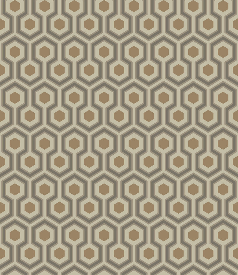 Hicks' Hexagon
