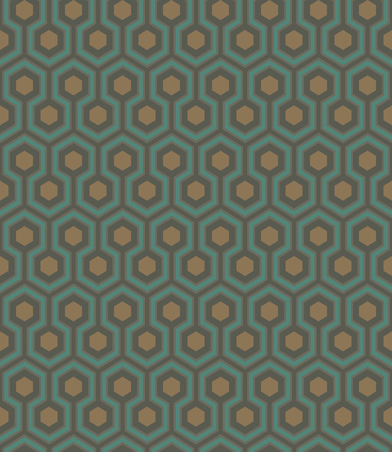 Hicks' Hexagon