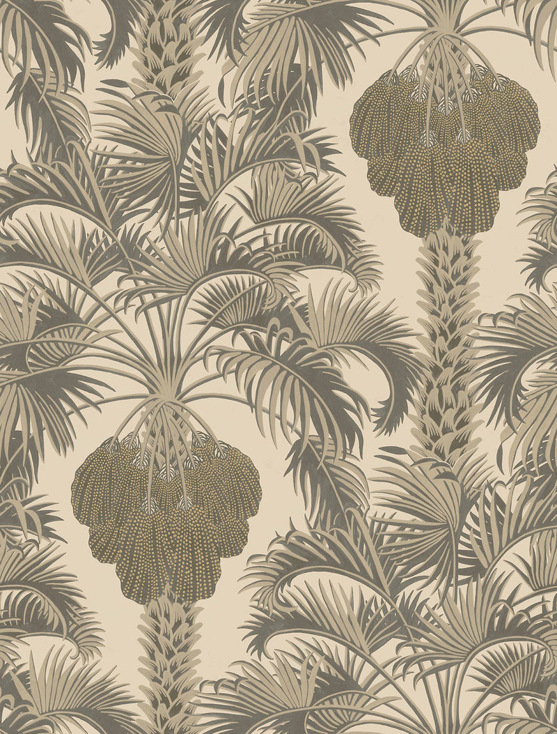 Hollywood Palm