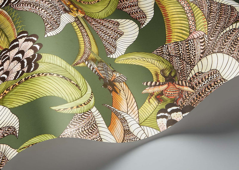Hoopoe Leaves