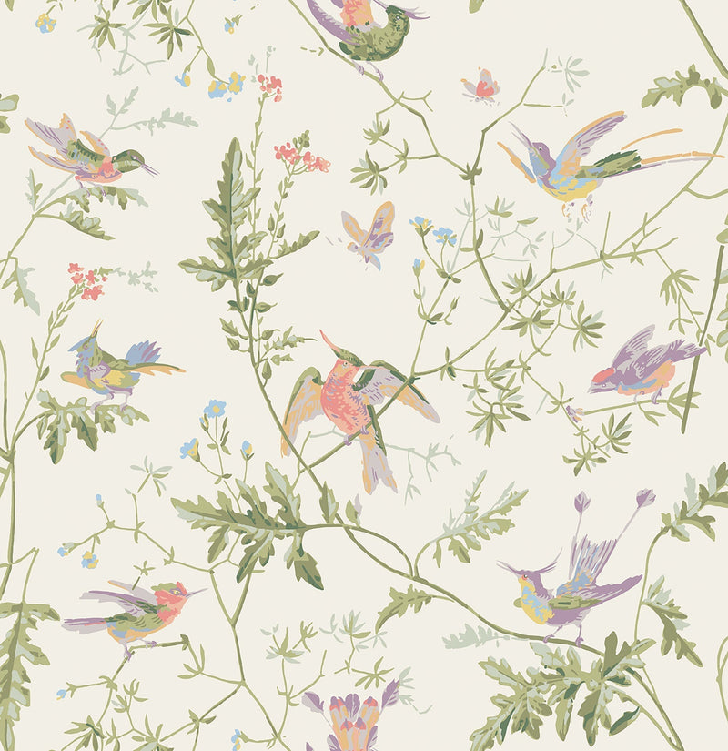 Hummingbirds