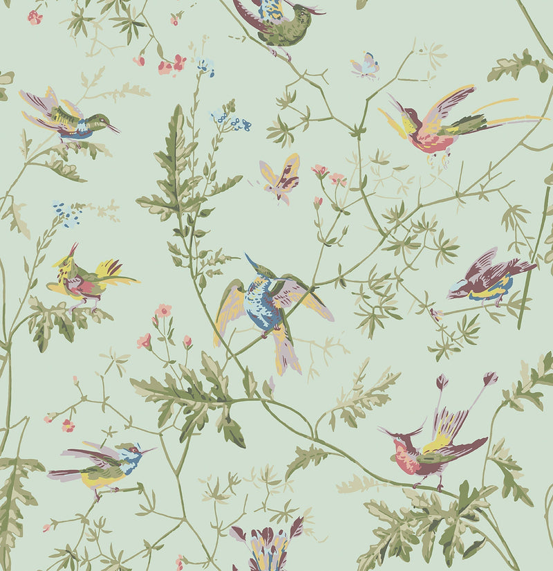 Hummingbirds