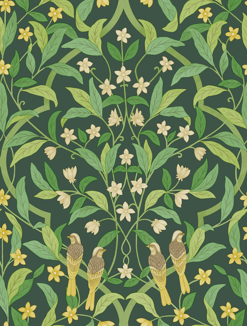 Jasmine & Serin Symphony