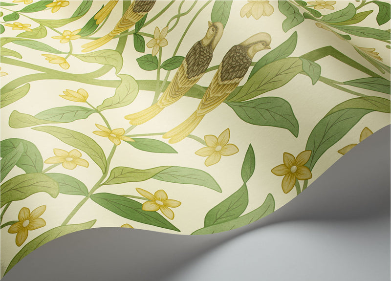 Jasmine & Serin Symphony