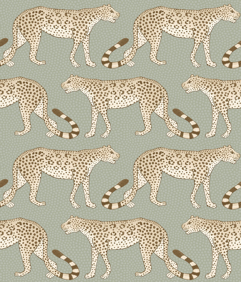 Leopard Walk