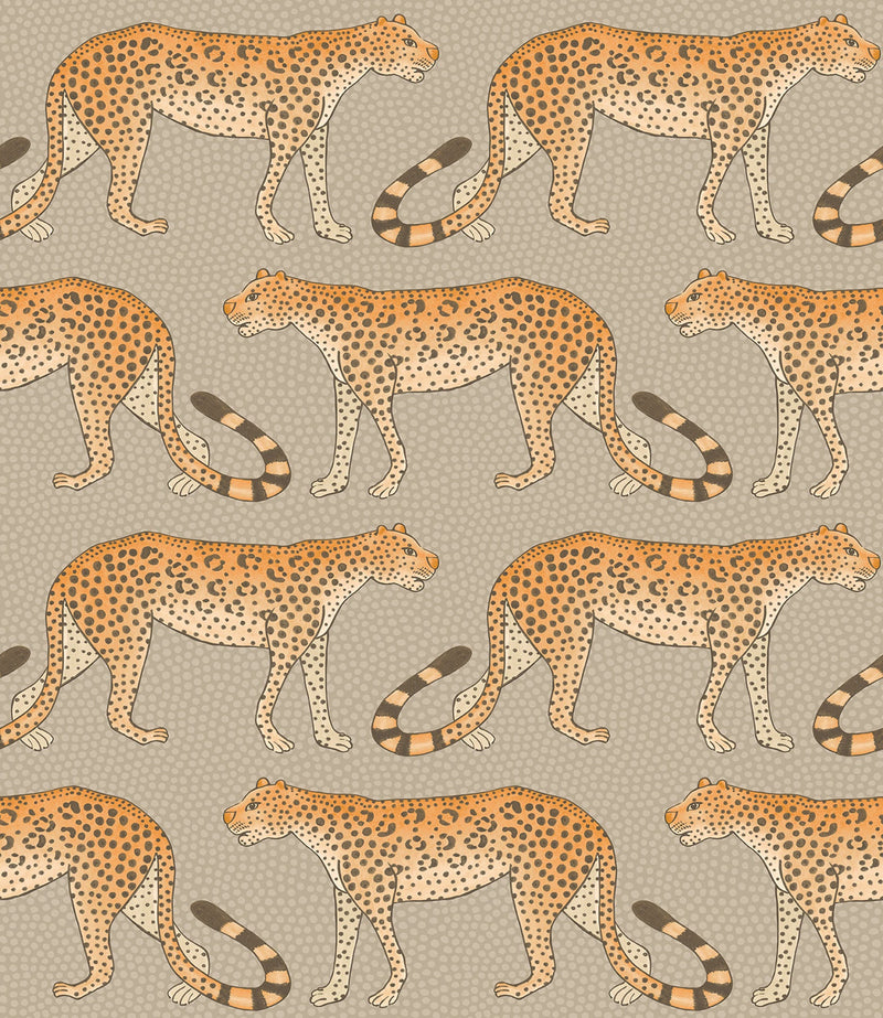 Leopard Walk