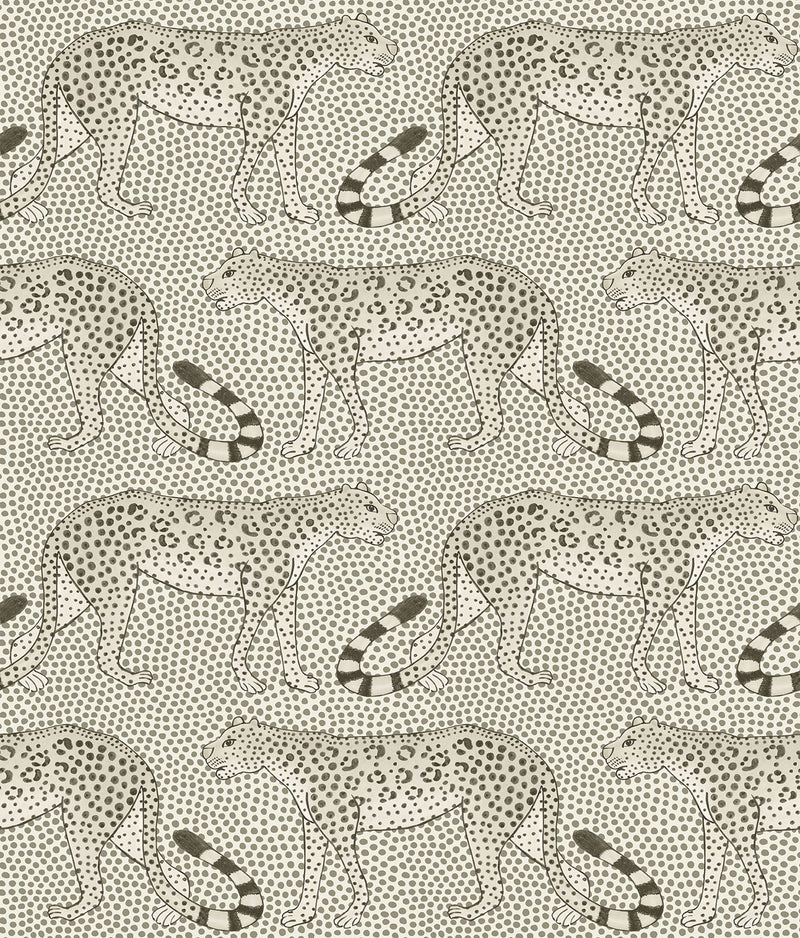 Leopard Walk