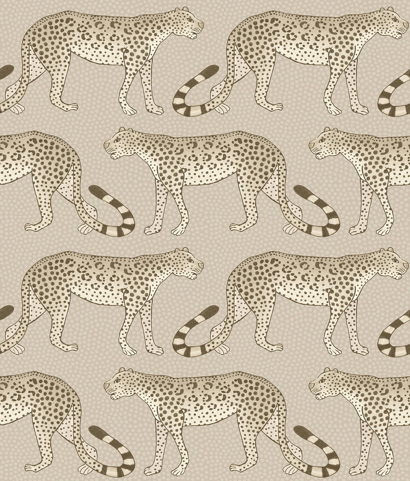 Leopard Walk